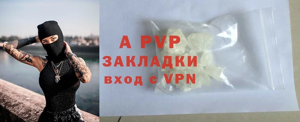 круглые Осинники