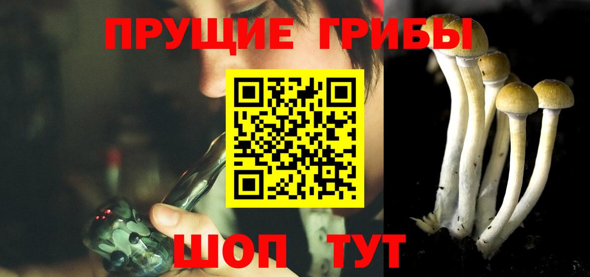 Псилоцибиновые грибы Cubensis  Галлюциногенные грибы мухоморы  Баксан 