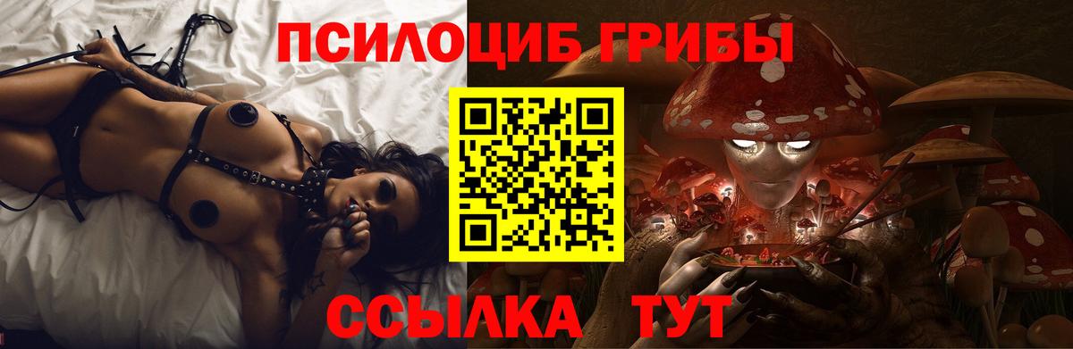 Псилоцибиновые грибы Psilocybe Баксан