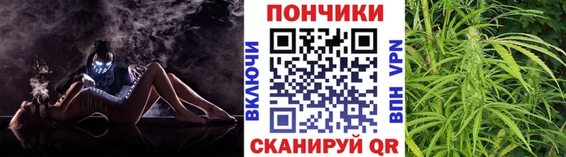 Бошки марихуана тримм  наркотики  Баксан 